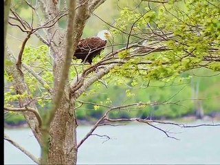 Nova Scotia Vacation - Cabot Trail