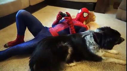 Spidergirl and Batgirl Save SpiderMan From Joker | Toy SuperHero SpiderMan CARTOON Kids