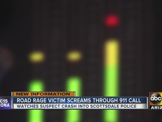 Phoenix Police Chief Jeri Williams holds ‘Meet and Greet’ event