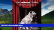 READ book  Broadway Tails: Heartfelt Stories of Rescued Dogs Who Became Showbiz Superstars READ