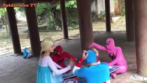 Pink SpiderGirl becomes a mermaid elsa mermaid Spiderman vs joker fun superheroe