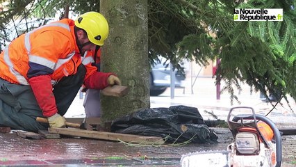 VIDEO. Châteauroux : le sapin installé place de la République