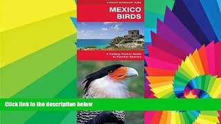 Must Have  Mexico Birds: A Folding Pocket Guide to Familiar Species (Pocket Naturalist Guide