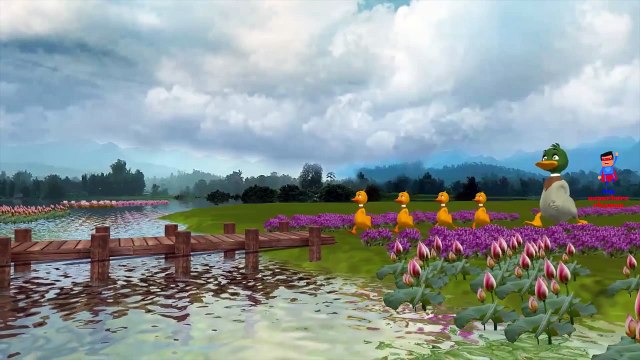 Five Little Ducks Went Out One Day Children Nursery Rhymes | Five Little Ducks Rhymes for Children