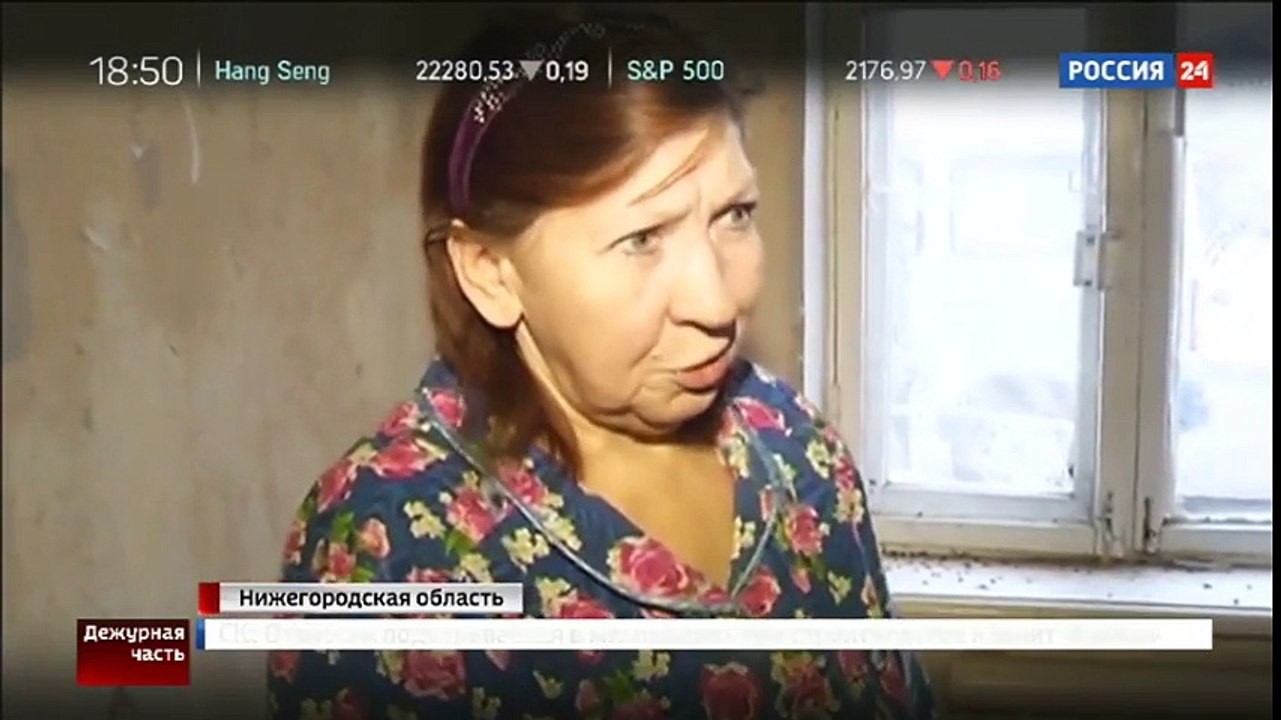 Мясо бродячих собак продавали под видом баранины