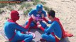 Spiderman Elsa noisome Spirit tree Venom Superman Captain deadpool Fun Superheroes in real life