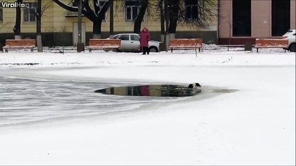 Tu me sauves mais tu me touches pas...  Chien pas très reconnaissant