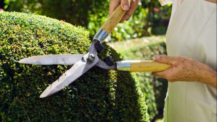 Mayfair Landscape - (559) 801-4029
