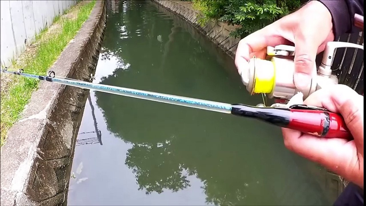 水路に鯉釣りに挑戦