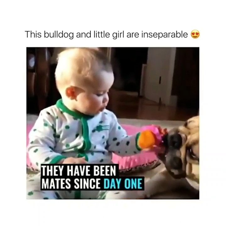 Cutest babies video compilation !
