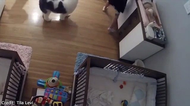 Un enfant de 9 ans sauve son frère bébé qui chute d'une table à langer