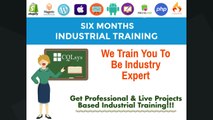 Six Months Industrial Training