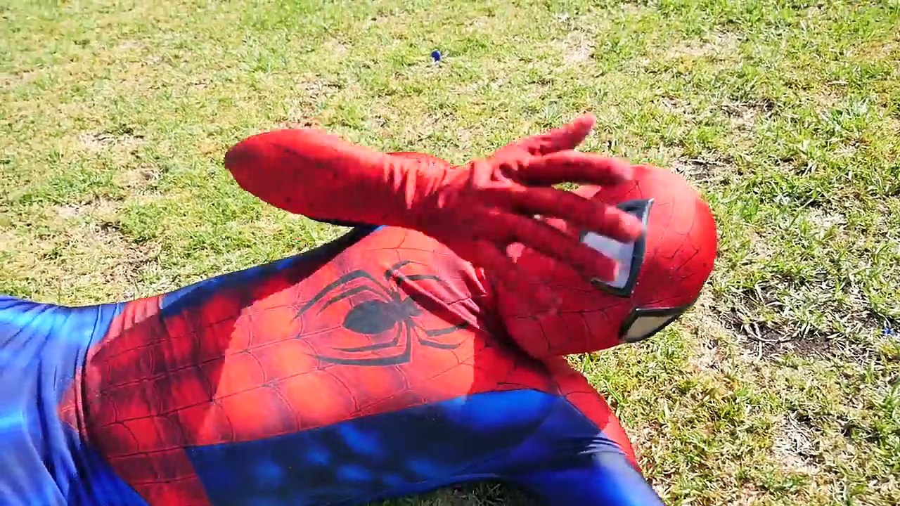 Frozen Anna Becomes Spider & Elsa is a Frog and eats a Fly w Spiderman, Disney Princess Fun Movie