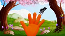Animals Cartoons Finger Family Rhymes for Children | Dinosaurs 3D Children Nursery Rhymes Collection