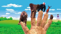 Finger Family Collection Animals Cartoons for Children | Finger Family Children Nursery Rhymes 3D
