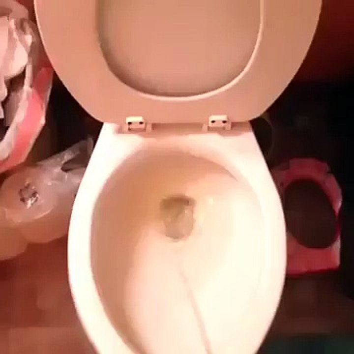 Прикол Не дали пописать