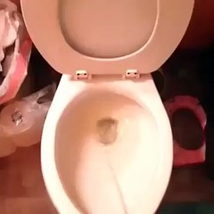 Прикол Не дали пописать