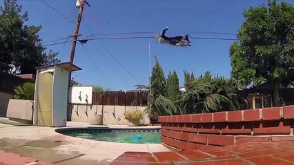 A dog is peeing on his master. Here's what happens shortly after