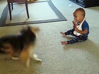 A dog and a boy playing together. What makes the small is beautiful!!