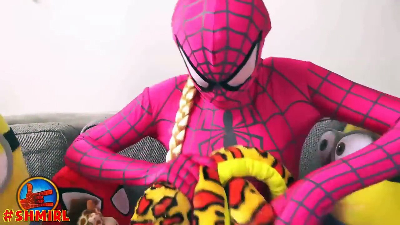 Pink Spidergirl vs SNAKE with SPIDERBABY and MINIONS - SNAKE vs Spidergirl - Amazing Superheroes IRL