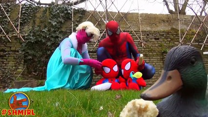 Download Video: FROZEN ELSA vs Minions Pink Spidergirl SpiderElsa Minion Cinderella Shoes Amazing Superheroes SHMIRL