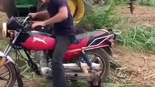 La réaction de ce bébé chimpanzé quand on lui demande de descendre de la moto est plus que hilarante