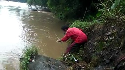 ANEH...MANCING DI KALI COMAL DAPAT ANAKAN BUAYA