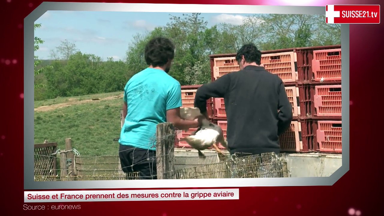 Suisse et France prennent des mesures contre la grippe aviaire