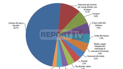 Report TV - Qytetet ku shpenzohet më shumë Tirana e para, Lezha e dyta