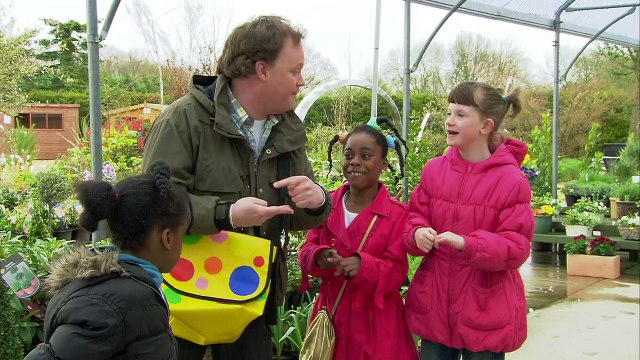 Something Special . s07e08 . Pet Shop . children story cartoon cBeebies