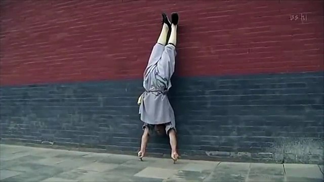 Shaolin Kungfu martial arts