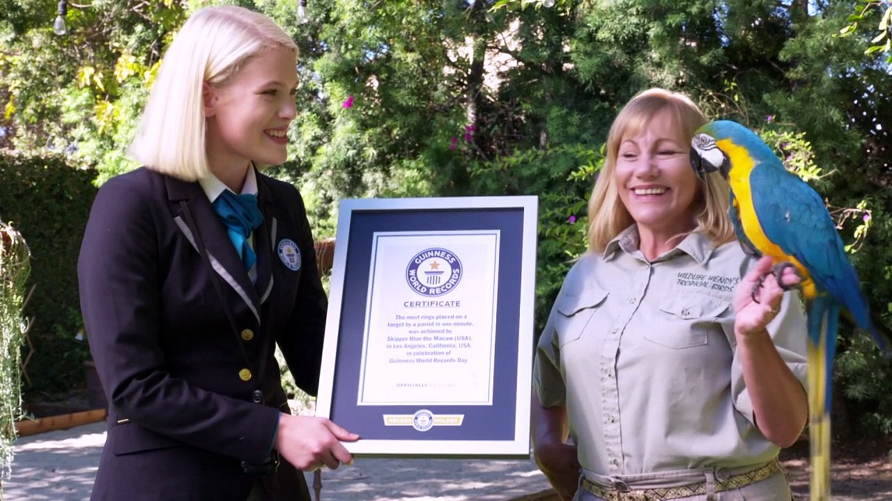 Weltrekorde: Kleinstes Ehepaar und schnellster Papagei