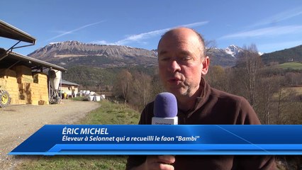 D!CI TV : Affaire "Bambi" : La famille Michel de Selonnet réfléchit à d'éventuelles suites judiciaires