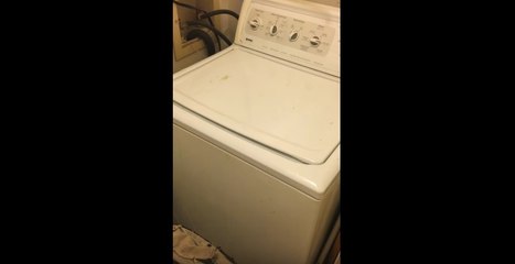 Chanter au rythme d'une machine à laver