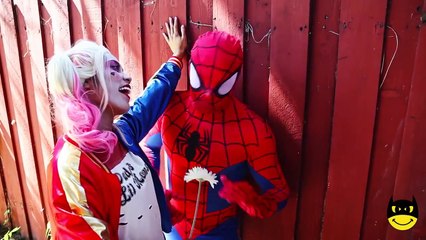 Spiderman Frozen Elsa Baby Masha vs Joker Harley Quinn Steal w/ Superman Anna Superhero in real life