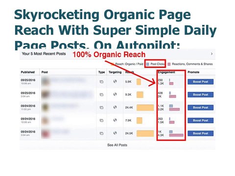 Penny clicks Academy review