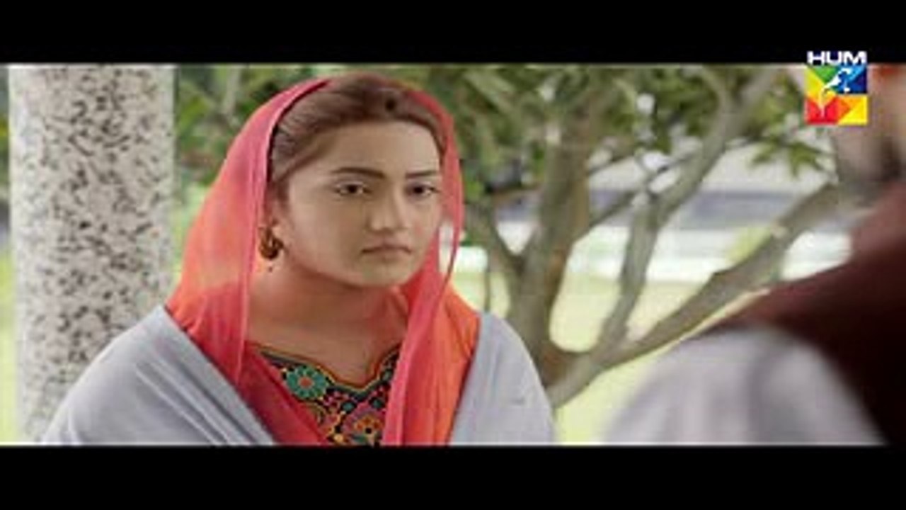 Sange Mar Mar Episode 12 Full HD HUM TV Drama 17 November 2016 - YouTube