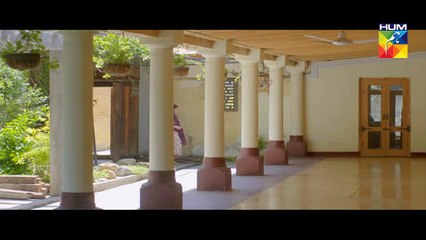 Sange Mar Mar Eds 12 L    HUM TV Drama 17 November 2016