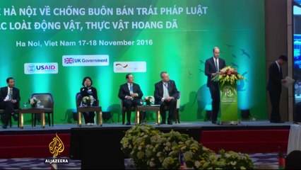 Hanoi conference: Global push to stop illegal wildlife trading