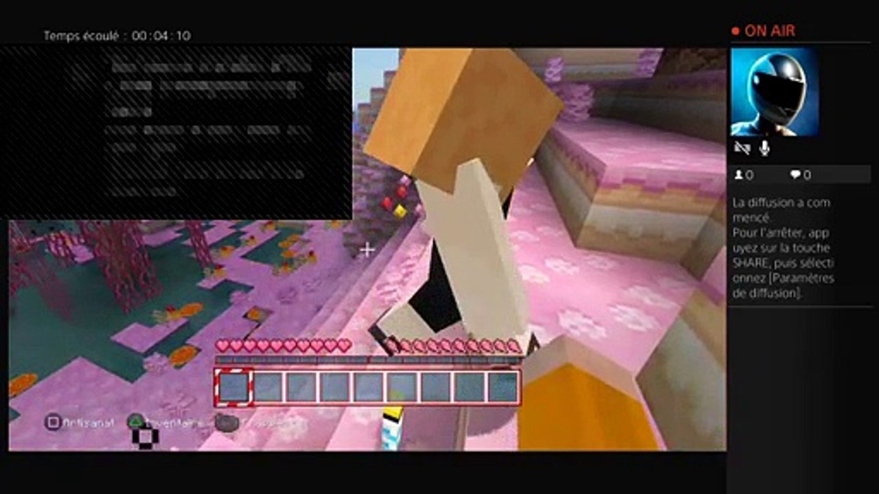 Minecraft (10)