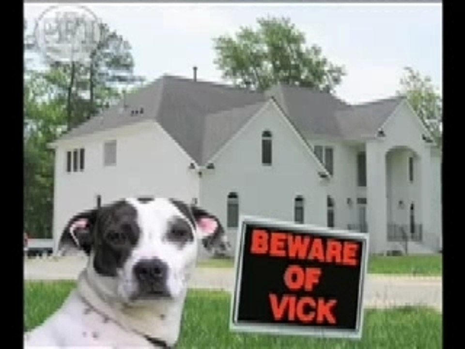 Mick vick Dog Fight