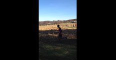 Il se fait percuté par un chevreuil pendant une course de cross-country en Pennsylvanie