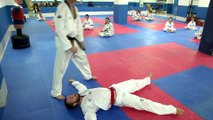 Zoom sur le Taekwondo à Ajaccio : interview de Nicolas Sanna