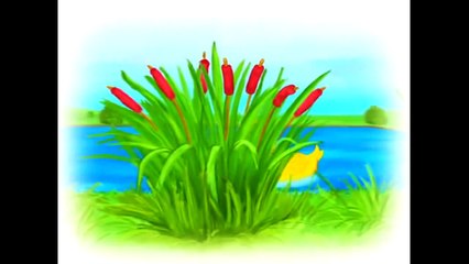 мир животных Тренер формы-дети мультфильм анимации