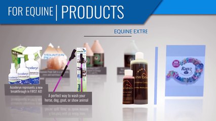 Southern Equine Distributing | Equine & canine products Ontario