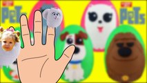 Мисс Кэти и Мистер Макс мультик для детей семья пальчиков Тайная жизнь домашних животных Новая серия