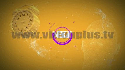 Next - Gossip - Tashethemet e ditës - 17 Nëntor 2016 - Show - Vizion Plus