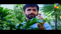 Hatheli Eds 13 L    HUM TV Drama 17 November 2016