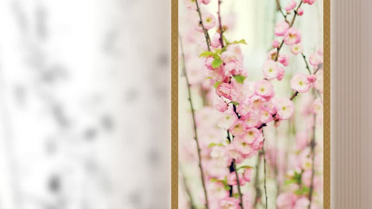 Nina Spirova - Snosti pojdov mila mamo