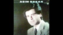 Asim Brkan - Ljubav na prvi pogled - (Audio 1982) HD